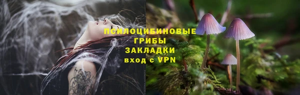 дживик Балахна