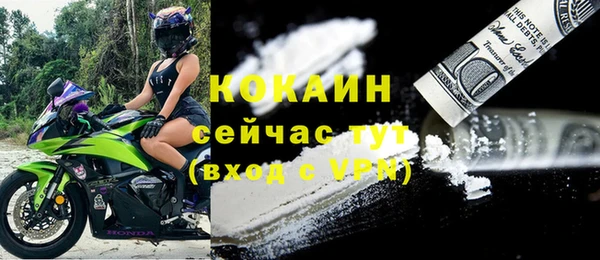 дживик Балахна