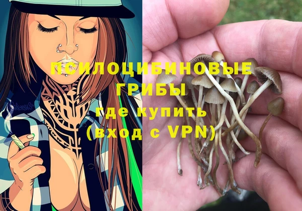 apvp Балабаново